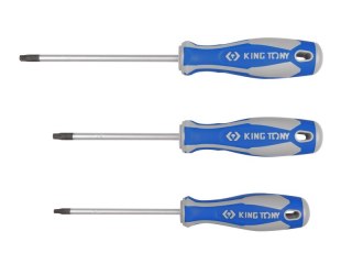 WKRĘTAK TORX Z OTWOREM T20 5.0*100