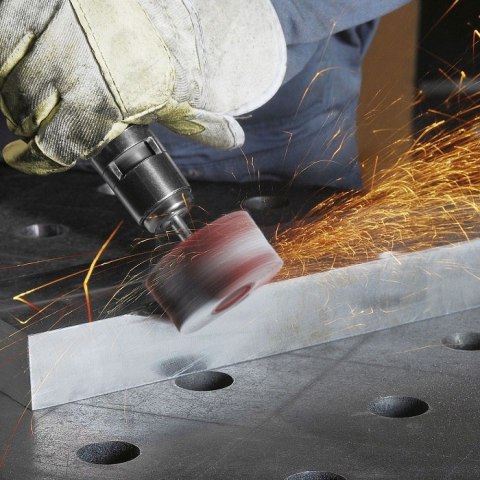 ŚCIERNICA TRZPIENIOWA LISTKOWA 03020.06 NK60