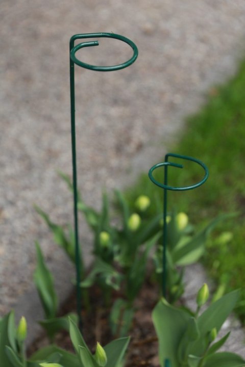 PODPORA DO ROŚLIN OCZKO 90CM