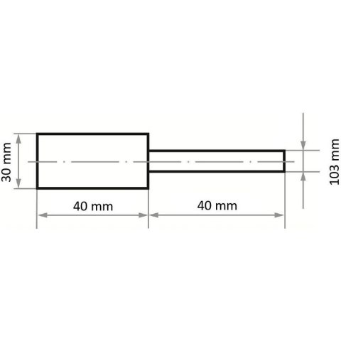 ŚCIERNICA TRZPIENIOWA P3ZY 3040.06 H3
