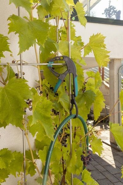 ŚCISK SPRĘŻYNOWY FZH 50