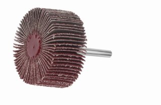 ŚCIERNICA TRZPIENIOWA LISTKOWA SFL 02020.06 NK 80