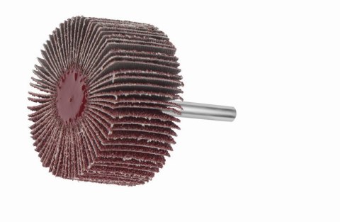 ŚCIERNICA TRZPIENIOWA LISTKOWA SFL 04005.06 NK 100