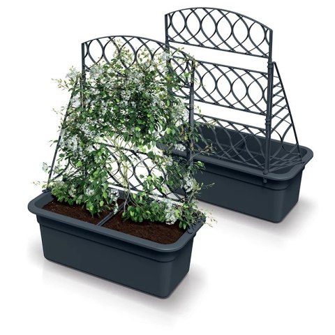 ZESTAW DOMNICY Z PERGOLĄ BLOMA - ANTRACYT