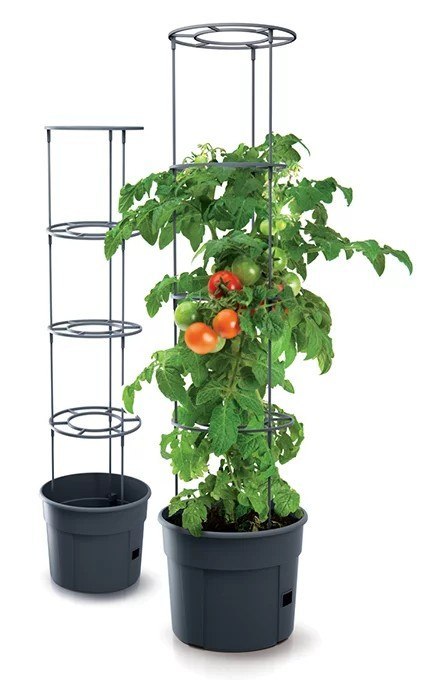 DONICZKA TOMATO GROWER - ANTRACYTOWY 12L