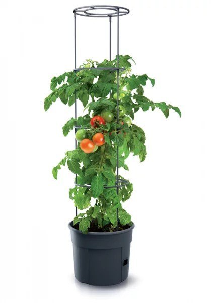 DONICZKA TOMATO GROWER - ANTRACYTOWY 12L