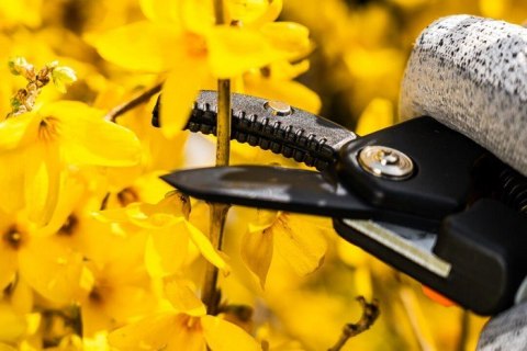 SEKATOR KOWADEŁKOWY 185MM ZAKRES DO 15MM REGULOWANY ROZSTAW