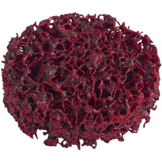 NARZĘDZIA Z WŁÓKNINY CZYSZCZĄCEJ ASVR 050 10 SZT