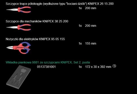 WKŁADKA PIANKOWA 9781 ZE SZCZYPCAMI SET 2 3CZ